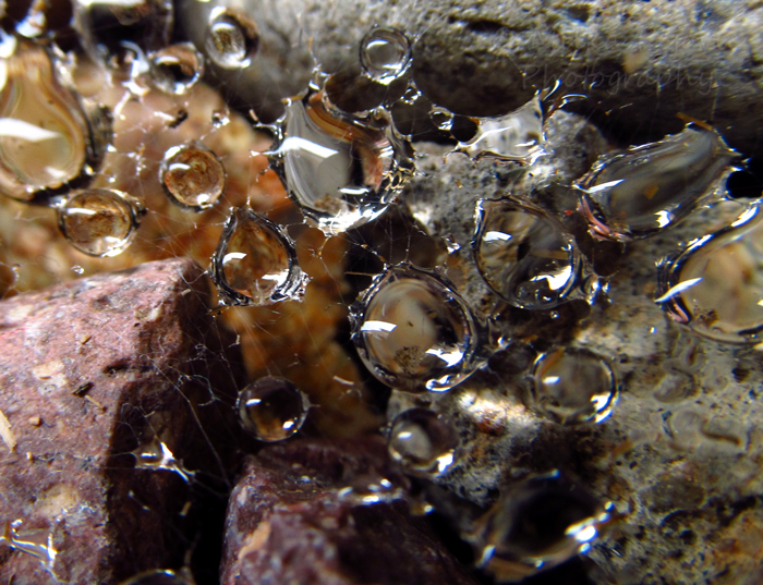 Rain drops sitting on spider web with river rocks as background
