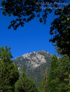 WordPress weekly photo challenge: Up – the mountains of Idyllwild, California