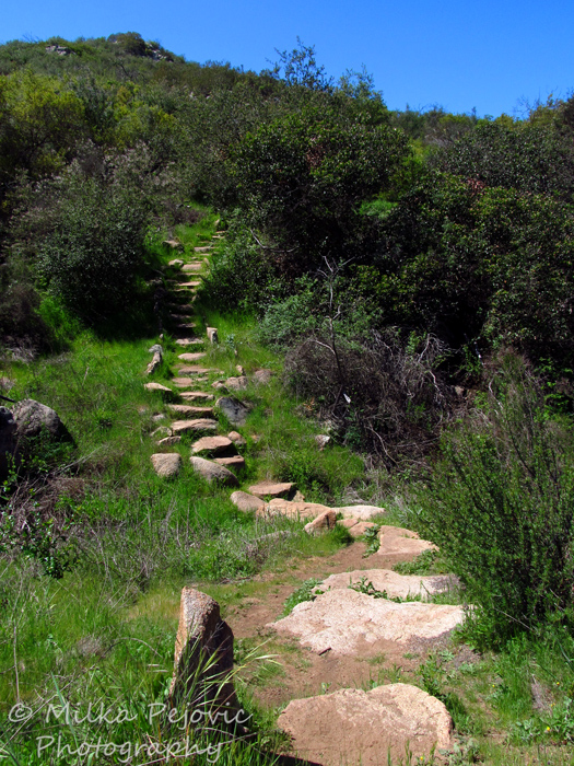 Travel theme: Stones make a stairway